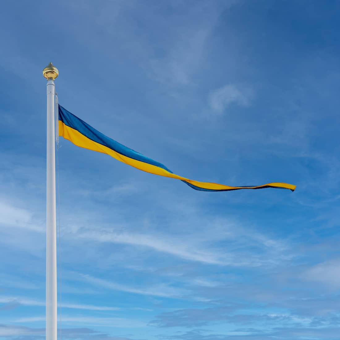 Svensk bandvimpel Bredd 50cm x 200-700cm - Bild 2