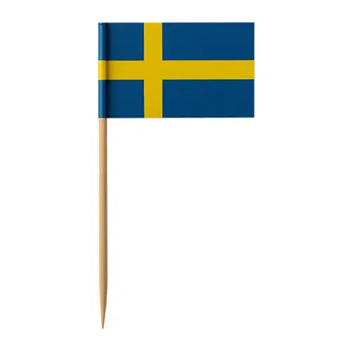 Rörmokare av Flaggstångs-Experten i Väst AB – projekt 6